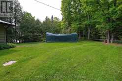 217 MOFFAT ROAD | Apsley Ontario | Slide Image Two