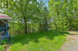 143 SCOTT SETTLEMENT ROAD | Apsley Ontario | Slide Image Twelve