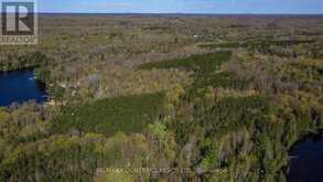 0 TROTTER OITMENT ROAD N | Apsley Ontario | Slide Image Ten