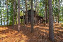 22 CHANDOS LK BALMER ISLAND | Apsley Ontario | Slide Image Eleven