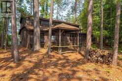 22 CHANDOS LK BALMER ISLAND | Apsley Ontario | Slide Image Twelve