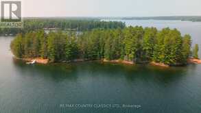 22 CHANDOS LK BALMER ISLAND | Apsley Ontario | Slide Image Twenty-eight