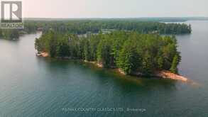 22 CHANDOS LK BALMER ISLAND | Apsley Ontario | Slide Image Twenty-nine