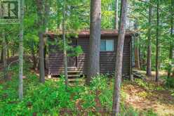 22 CHANDOS LK BALMER ISLAND | Apsley Ontario | Slide Image Two