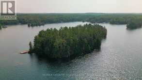 22 CHANDOS LK BALMER ISLAND | Apsley Ontario | Slide Image Thirty
