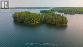 22 CHANDOS LK BALMER ISLAND | Apsley Ontario | Slide Image Thirty-one