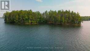 22 CHANDOS LK BALMER ISLAND | Apsley Ontario | Slide Image Thirty-two