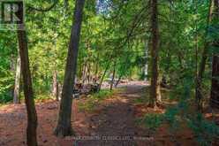 22 CHANDOS LK BALMER ISLAND | Apsley Ontario | Slide Image Thirty-five