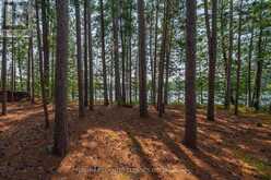 22 CHANDOS LK BALMER ISLAND | Apsley Ontario | Slide Image Thirty-eight