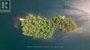 22 CHANDOS LK BALMER ISLAND | Apsley Ontario | Slide Image Forty-eight
