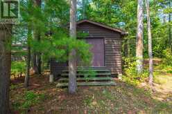 22 CHANDOS LK BALMER ISLAND | Apsley Ontario | Slide Image Four