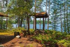 22 CHANDOS LK BALMER ISLAND | Apsley Ontario | Slide Image Six