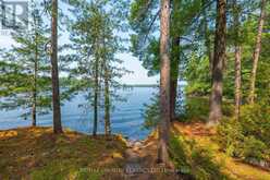 22 CHANDOS LK BALMER ISLAND | Apsley Ontario | Slide Image Eight