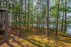 22 CHANDOS LK BALMER ISLAND | Apsley Ontario | Slide Image Nine