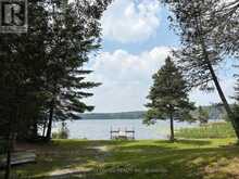 16 FIRE ROUTE 311 | North Kawartha Ontario | Slide Image Ten