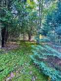 5280 BOULTER ROAD | Brudenell, Lyndoch and Raglan Ontario | Slide Image Fifteen