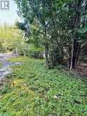 5280 BOULTER ROAD | Brudenell, Lyndoch and Raglan Ontario | Slide Image Sixteen