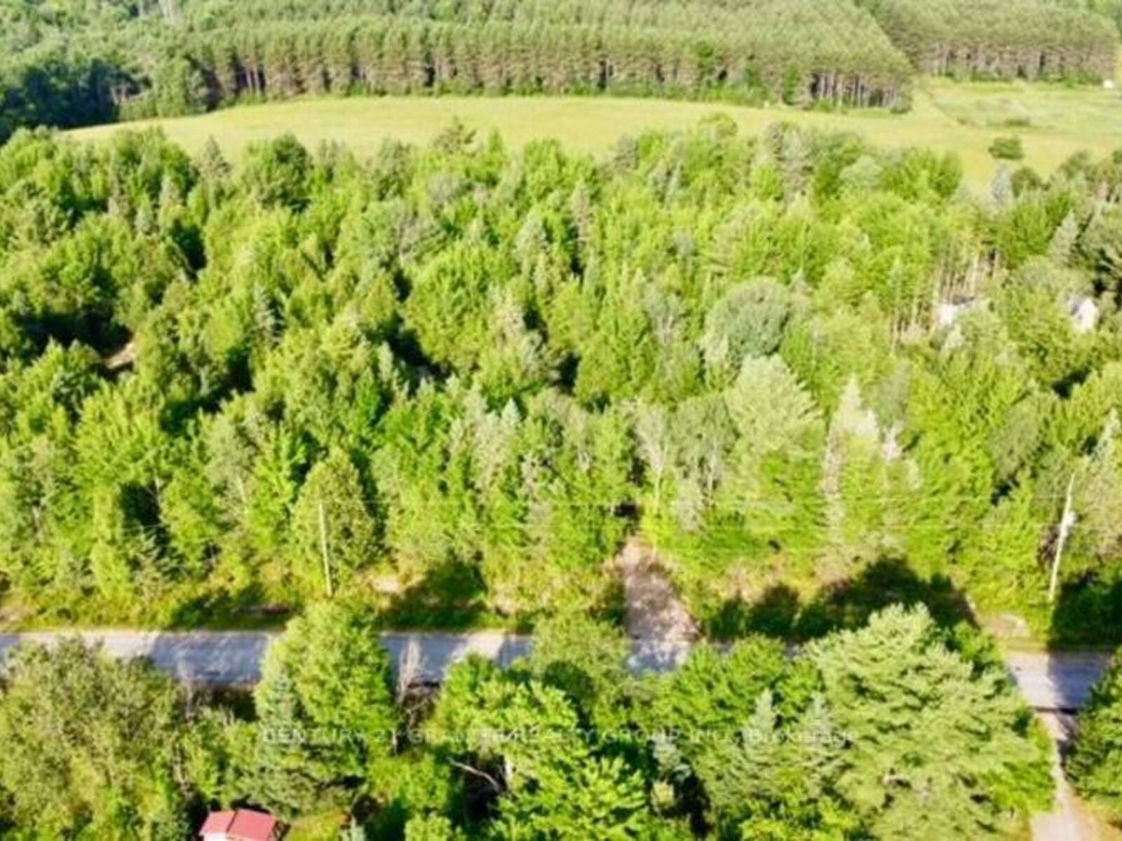 5280 BOULTER ROAD, Brudenell, Lyndoch and Raglan, Ontario K0L 1G0