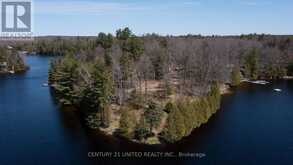 45 FIRE ROUTE 223 | North Kawartha Ontario | Slide Image Eleven