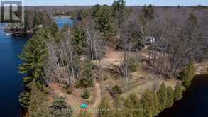 45 FIRE ROUTE 223 | North Kawartha Ontario | Slide Image Twelve