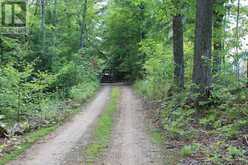45 FIRE ROUTE 223 | North Kawartha Ontario | Slide Image Fifteen