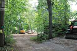45 FIRE ROUTE 223 | North Kawartha Ontario | Slide Image Seventeen