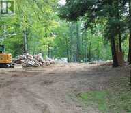 45 FIRE ROUTE 223 | North Kawartha Ontario | Slide Image Nineteen