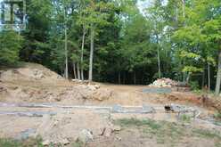 45 FIRE ROUTE 223 | North Kawartha Ontario | Slide Image Twenty-six