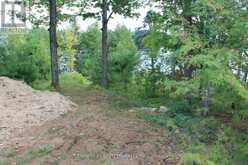 45 FIRE ROUTE 223 | North Kawartha Ontario | Slide Image Twenty-eight
