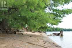 45 FIRE ROUTE 223 | North Kawartha Ontario | Slide Image Thirty