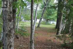 45 FIRE ROUTE 223 | North Kawartha Ontario | Slide Image Thirty-two