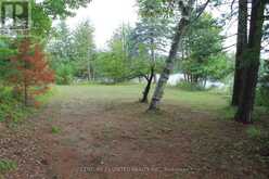 45 FIRE ROUTE 223 | North Kawartha Ontario | Slide Image Thirty-three