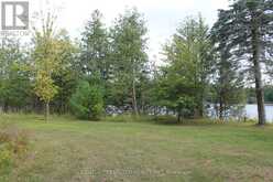 45 FIRE ROUTE 223 | North Kawartha Ontario | Slide Image Thirty-four