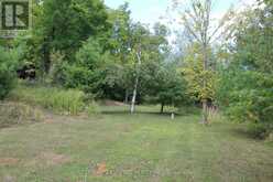 45 FIRE ROUTE 223 | North Kawartha Ontario | Slide Image Thirty-five