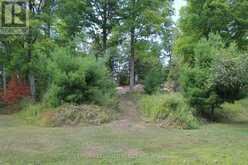 45 FIRE ROUTE 223 | North Kawartha Ontario | Slide Image Thirty-six