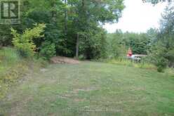 45 FIRE ROUTE 223 | North Kawartha Ontario | Slide Image Thirty-seven
