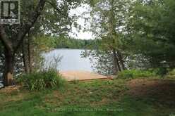 45 FIRE ROUTE 223 | North Kawartha Ontario | Slide Image Thirty-eight