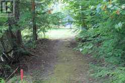 45 FIRE ROUTE 223 | North Kawartha Ontario | Slide Image Forty
