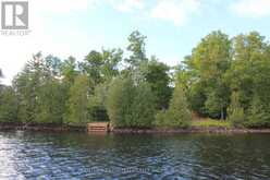 45 FIRE ROUTE 223 | North Kawartha Ontario | Slide Image Forty-one