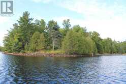 45 FIRE ROUTE 223 | North Kawartha Ontario | Slide Image Forty-two