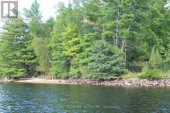 45 FIRE ROUTE 223 | North Kawartha Ontario | Slide Image Forty-three