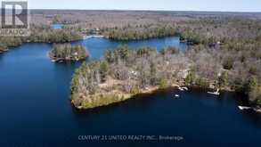 45 FIRE ROUTE 223 | North Kawartha Ontario | Slide Image Forty-four