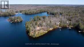 45 FIRE ROUTE 223 | North Kawartha Ontario | Slide Image Six