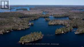 45 FIRE ROUTE 223 | North Kawartha Ontario | Slide Image Eight