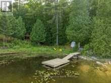 4325A ROAD 506 | Addington Highlands Ontario | Slide Image Forty-four