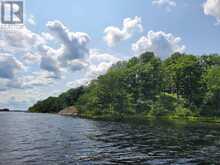 0 KENNEBEC LAKE LANE | Arden Ontario | Slide Image Eleven