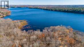 0 KENNEBEC LAKE LANE | Arden Ontario | Slide Image Twenty-five
