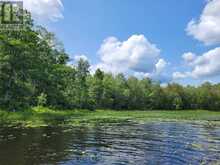 0 KENNEBEC LAKE LANE | Arden Ontario | Slide Image Six