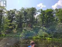 0 KENNEBEC LAKE LANE | Arden Ontario | Slide Image Seven