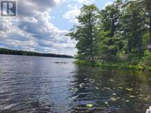 0 KENNEBEC LAKE LANE | Arden Ontario | Slide Image Eight